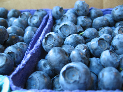 blueberries photo