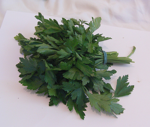 parsley photo