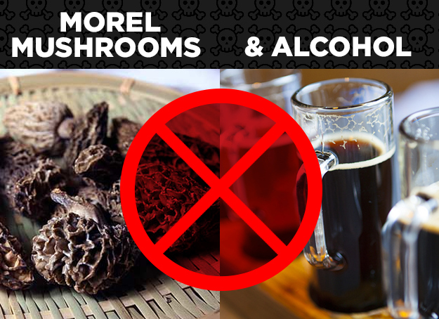 Morel Mushrooms + Alcohol = Morel Poisoning