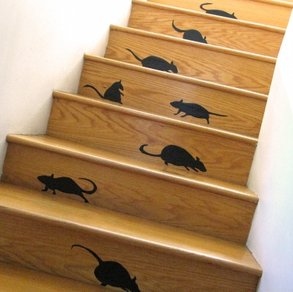 Stairway to Rat Heaven