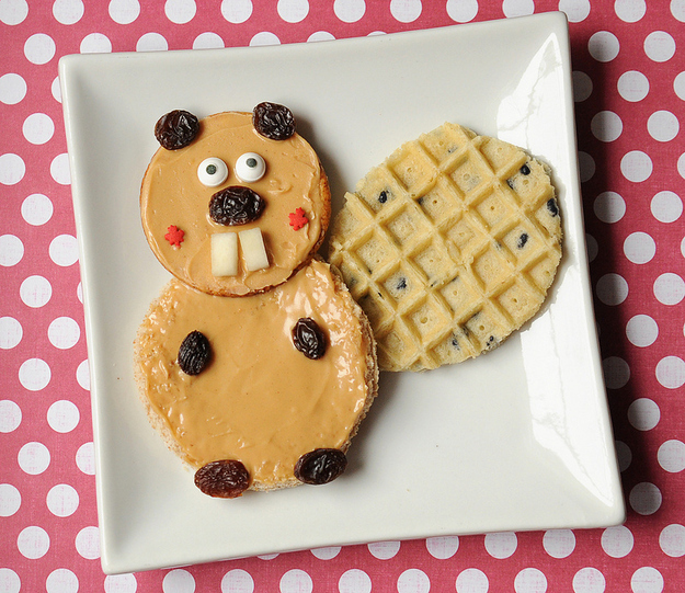 Looking good there, waffle beaver.