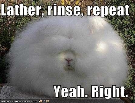 You could actually benefit from a double shampoo.