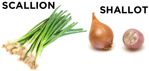 Scallion vs. Shallot