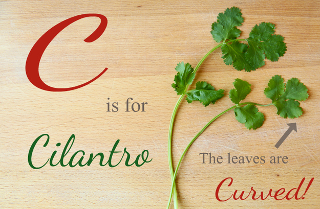 Here's a really good way to remember the difference: