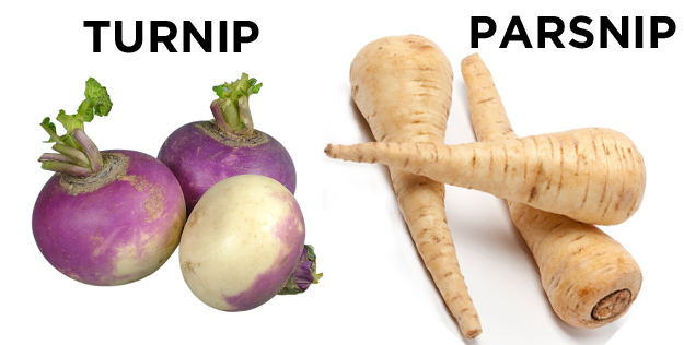 Turnip vs. Parsnip