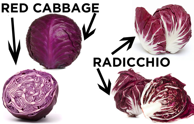Red Cabbage vs. Radicchio