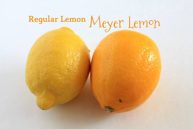 Lemon vs. Meyer Lemon