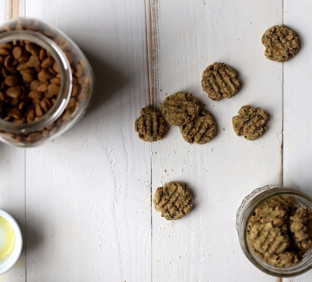 Salmon and Oat Treats