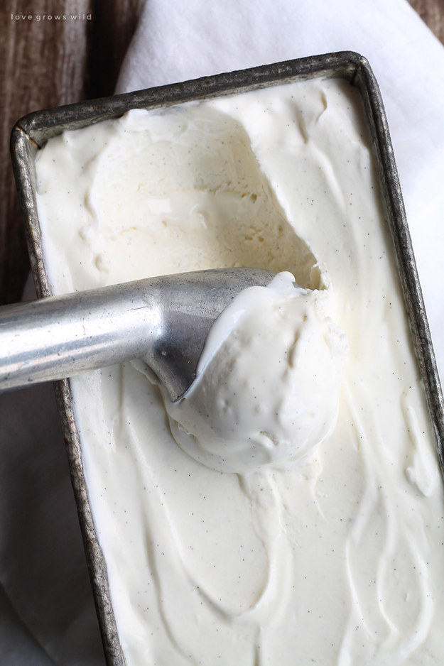 No-Churn Classic Vanilla Ice Cream