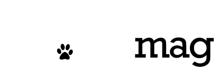 N!FYmag * the NEW N!FY * life * food * fashion * hacks